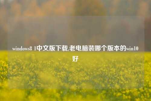 windows8 1中文版下载,老电脑装哪个版本的win10好