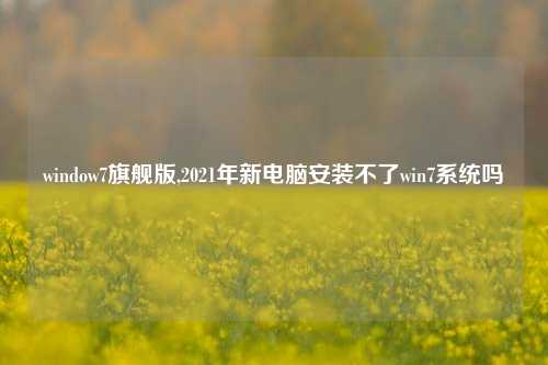 window7旗舰版,2021年新电脑安装不了win7系统吗