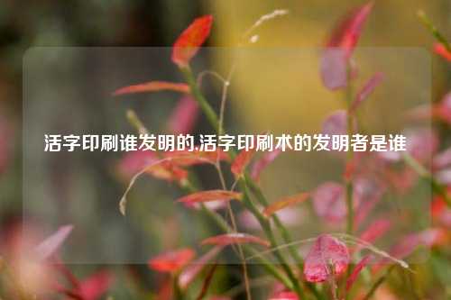活字印刷谁发明的,活字印刷术的发明者是谁
