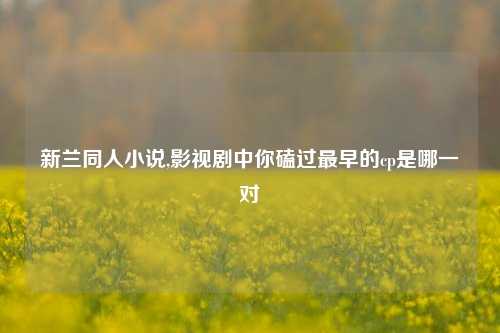 新兰同人小说,影视剧中你磕过最早的cp是哪一对