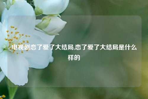 电视剧恋了爱了大结局,恋了爱了大结局是什么样的