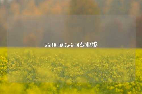win10 1607,win10专业版