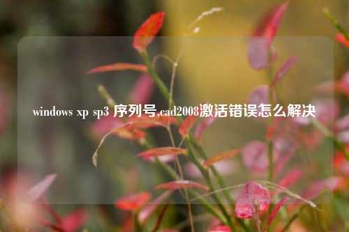 windows xp sp3 序列号,cad2008激活错误怎么解决