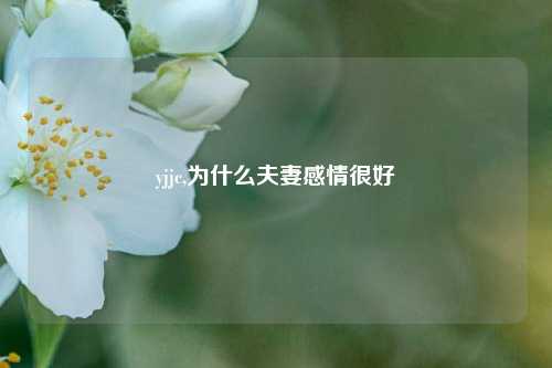 yjjc,为什么夫妻感情很好