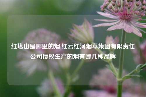 红塔山是哪里的烟,红云红河烟草集团有限责任公司授权生产的烟有哪几种品牌