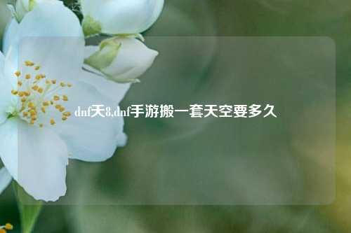 dnf天8,dnf手游搬一套天空要多久