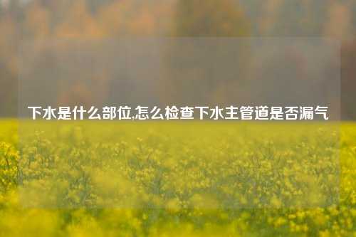 下水是什么部位,怎么检查下水主管道是否漏气