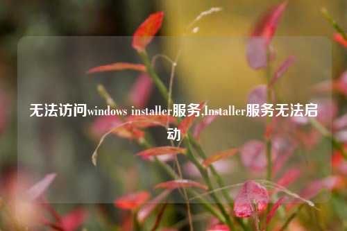 无法访问windows installer服务,Installer服务无法启动