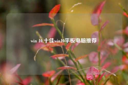 win 10,十佳win10平板电脑推荐
