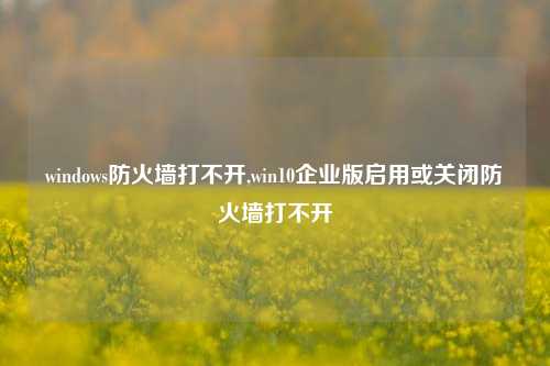 windows防火墙打不开,win10企业版启用或关闭防火墙打不开