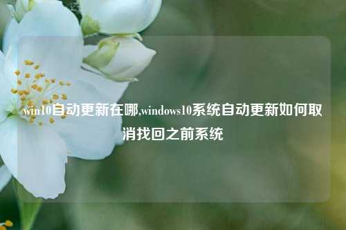 win10自动更新在哪,windows10系统自动更新如何取消找回之前系统