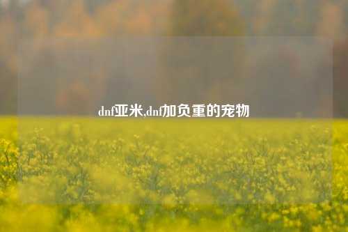 dnf亚米,dnf加负重的宠物