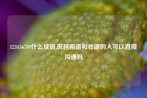 123456789什么成语,说越南语和壮语的人可以直接沟通吗