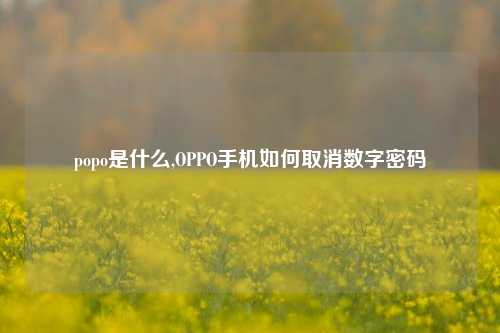 popo是什么,OPPO手机如何取消数字密码