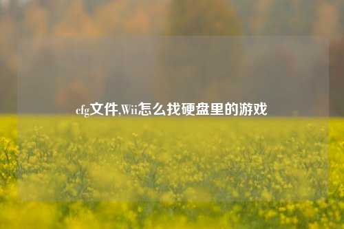 cfg文件,Wii怎么找硬盘里的游戏