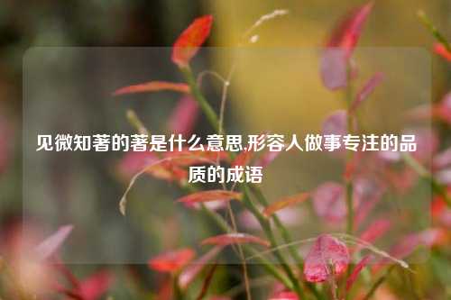 见微知著的著是什么意思,形容人做事专注的品质的成语