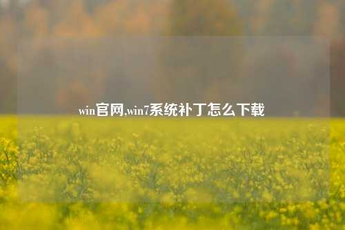 win官网,win7系统补丁怎么下载