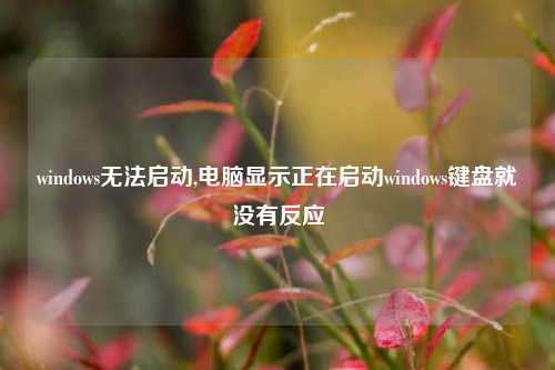 windows无法启动,电脑显示正在启动windows键盘就没有反应