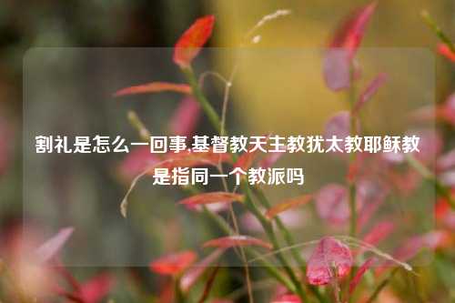 割礼是怎么一回事,基督教天主教犹太教耶稣教是指同一个教派吗