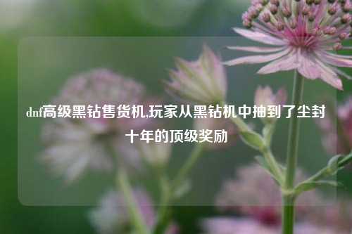 dnf高级黑钻售货机,玩家从黑钻机中抽到了尘封十年的顶级奖励