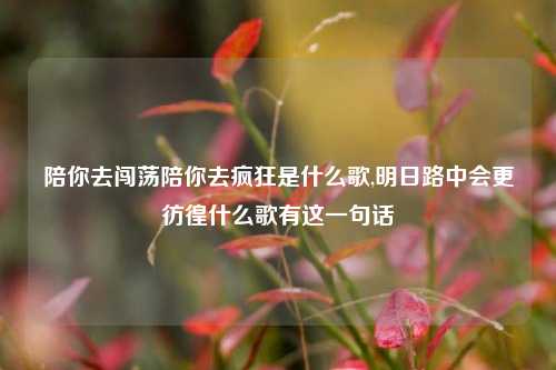 陪你去闯荡陪你去疯狂是什么歌,明日路中会更彷徨什么歌有这一句话