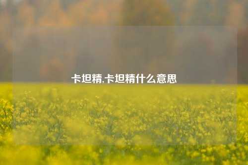 卡坦精,卡坦精什么意思