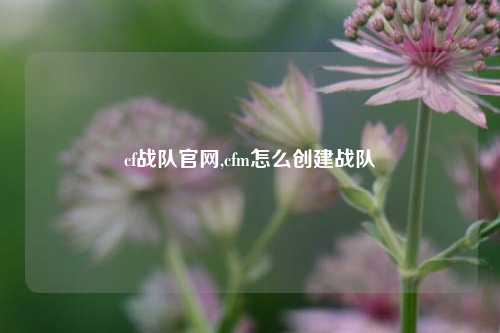 cf战队官网,cfm怎么创建战队