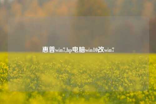 惠普win7,hp电脑win10改win7