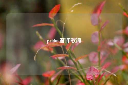 paidui,音译歌词
