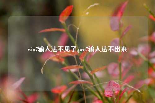 win7输入法不见了,pro7输入法不出来