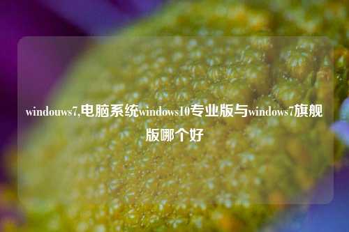 windouws7,电脑系统windows10专业版与windows7旗舰版哪个好