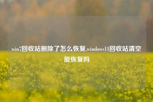 win7回收站删除了怎么恢复,windows11回收站清空能恢复吗