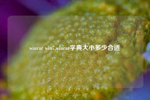 winrar win7,winrar字典大小多少合适