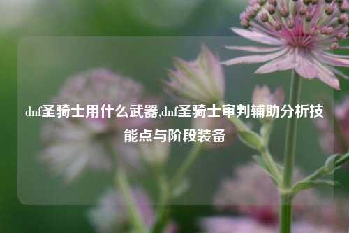 dnf圣骑士用什么武器,dnf圣骑士审判辅助分析技能点与阶段装备