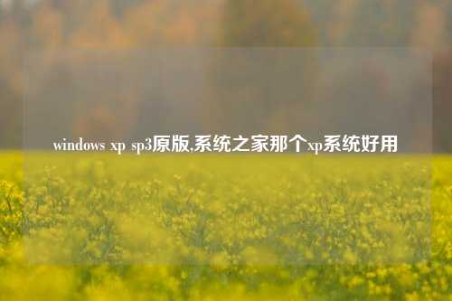 windows xp sp3原版,系统之家那个xp系统好用