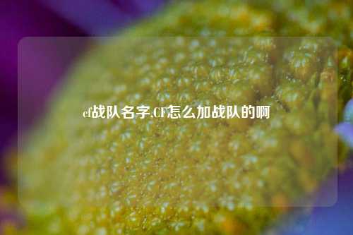 cf战队名字,CF怎么加战队的啊