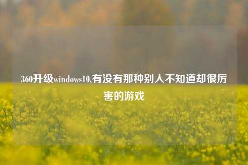360升级windows10,有没有那种别人不知道却很厉害的游戏