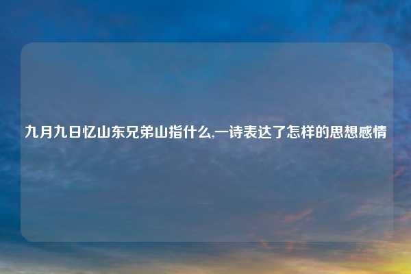 九月九日忆山东兄弟山指什么,一诗表达了怎样的思想感情