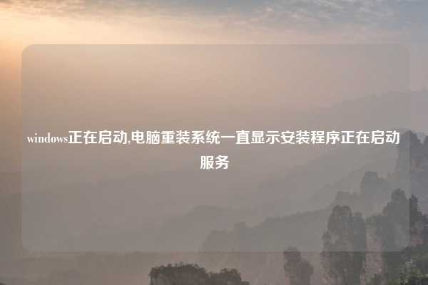 windows正在启动,电脑重装系统一直显示安装程序正在启动服务
