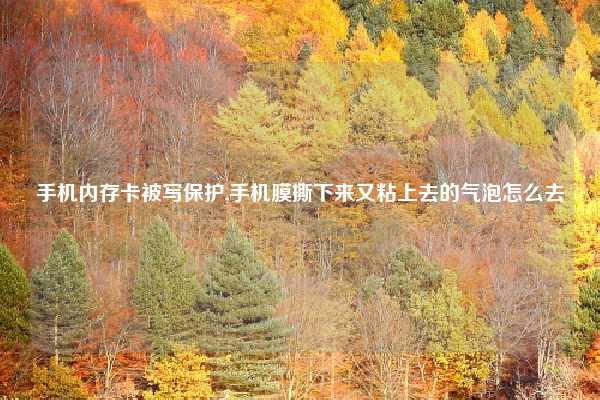 手机内存卡被写保护,手机膜撕下来又粘上去的气泡怎么去