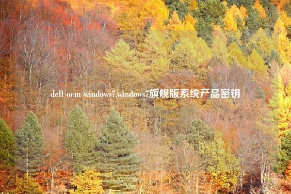 dell oem windows7,windows7旗舰版系统产品密钥