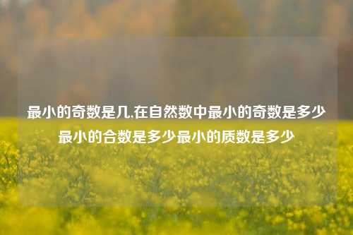 最小的奇数是几,在自然数中最小的奇数是多少最小的合数是多少最小的质数是多少