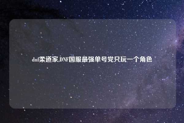 dnf柔道家,DNF国服最强单号党只玩一个角色