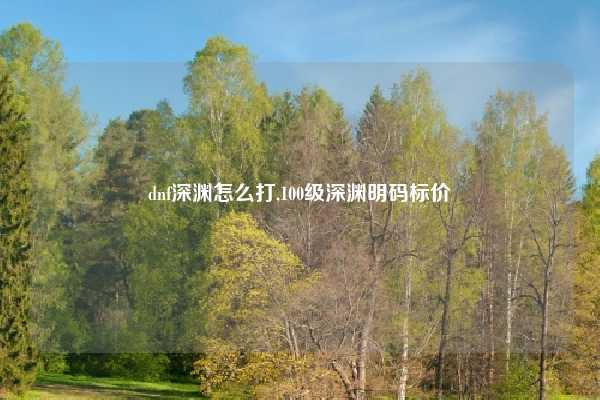 dnf深渊怎么打,100级深渊明码标价