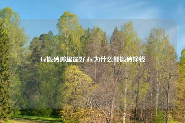 dnf搬砖哪里最好,dnf为什么能搬砖挣钱