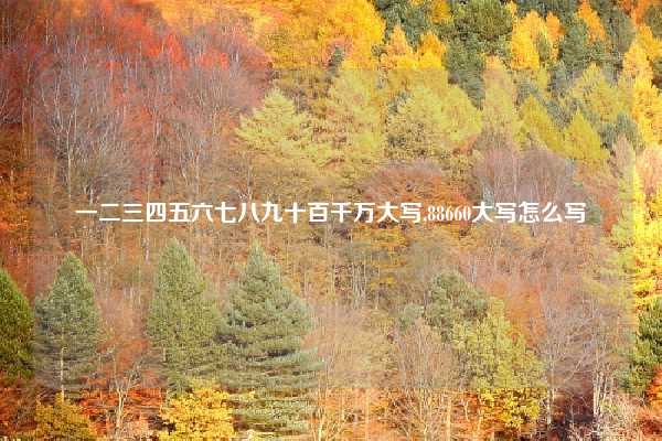 一二三四五六七八九十百千万大写,88660大写怎么写