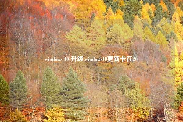windows 10 升级,windows10更新卡在20