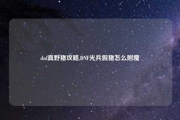 dnf真野猪攻略,DNF光兵假猪怎么附魔