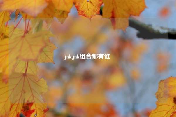 jnk,jnk组合都有谁