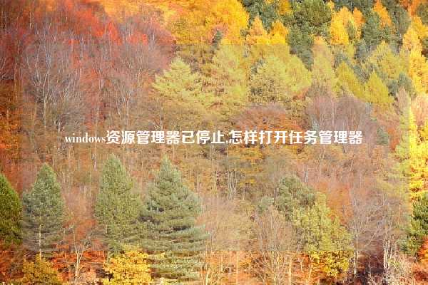 windows资源管理器已停止,怎样打开任务管理器